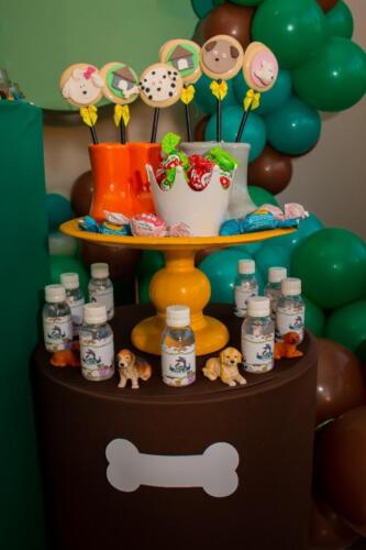 Aniversário Arca Veterinários