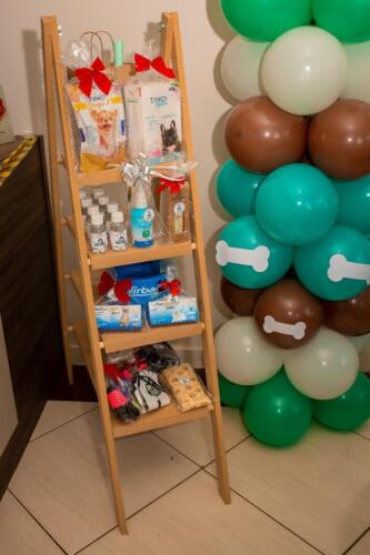 Aniversário Arca Veterinários