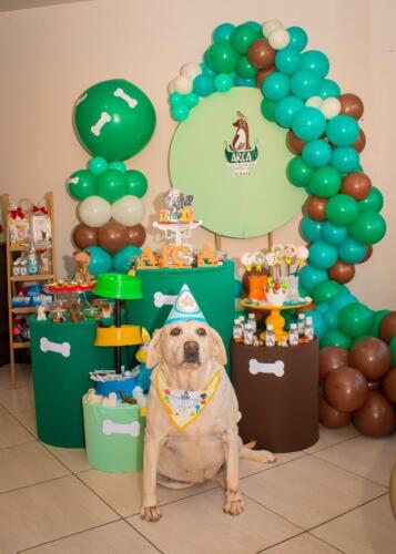Aniversário Arca Veterinários