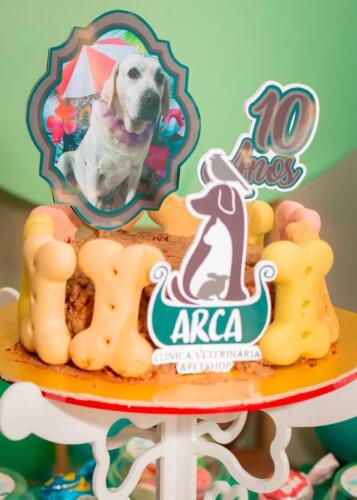 Aniversário Arca Veterinários